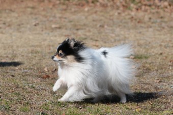 そんなに真面目に。。。 そんなに真面目に。。。