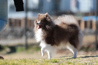 そんなに真面目に。。。 そんなに真面目に。。。