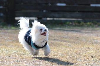 そんなに真面目に。。。 そんなに真面目に。。。