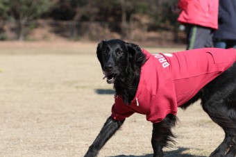 そんなに真面目に。。。 そんなに真面目に。。。