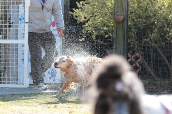そんなに真面目に。。。 そんなに真面目に。。。