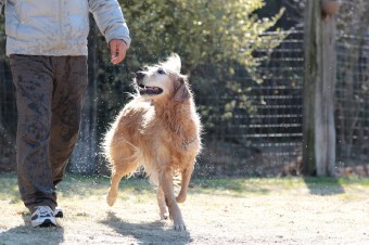 そんなに真面目に。。。 そんなに真面目に。。。