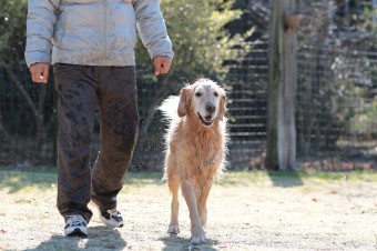 そんなに真面目に。。。 そんなに真面目に。。。
