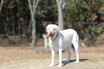 そんなに真面目に。。。 そんなに真面目に。。。