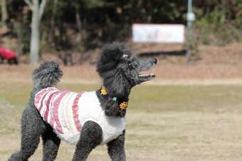 そんなに真面目に。。。 そんなに真面目に。。。