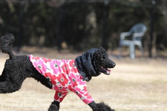 そんなに真面目に。。。 そんなに真面目に。。。