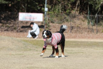 そんなに真面目に。。。 そんなに真面目に。。。