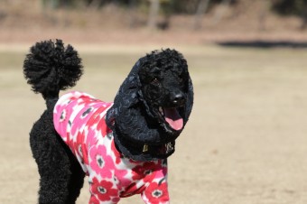 そんなに真面目に。。。 そんなに真面目に。。。