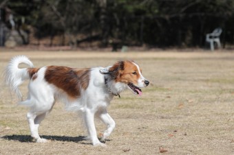 そんなに真面目に。。。 そんなに真面目に。。。