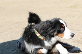 そんなに真面目に。。。 そんなに真面目に。。。