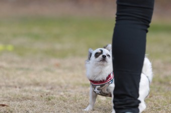 そんなに真面目に。。。 そんなに真面目に。。。