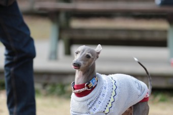 そんなに真面目に。。。 そんなに真面目に。。。