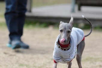そんなに真面目に。。。 そんなに真面目に。。。