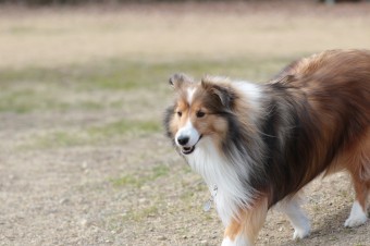 そんなに真面目に。。。 そんなに真面目に。。。