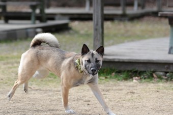 そんなに真面目に。。。 そんなに真面目に。。。
