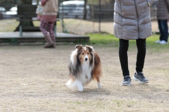 そんなに真面目に。。。 そんなに真面目に。。。