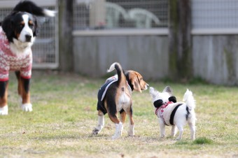 そんなに真面目に。。。 そんなに真面目に。。。