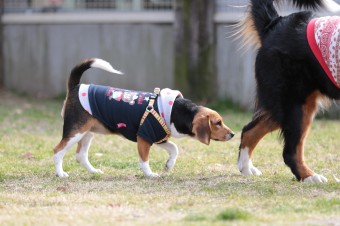 そんなに真面目に。。。 そんなに真面目に。。。