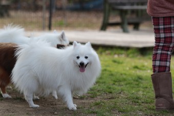 そんなに真面目に。。。 そんなに真面目に。。。