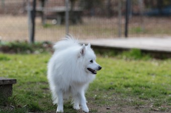 そんなに真面目に。。。 そんなに真面目に。。。