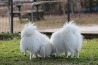 そんなに真面目に。。。 そんなに真面目に。。。
