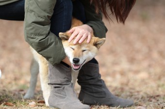 そんなに真面目に。。。 そんなに真面目に。。。