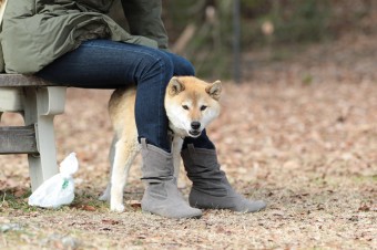 そんなに真面目に。。。 そんなに真面目に。。。