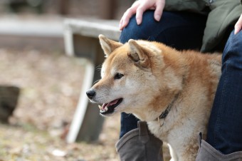そんなに真面目に。。。 そんなに真面目に。。。