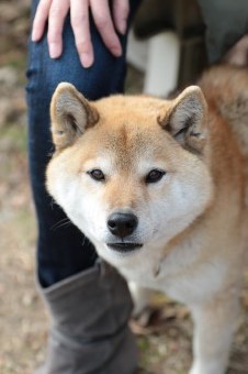そんなに真面目に。。。 そんなに真面目に。。。