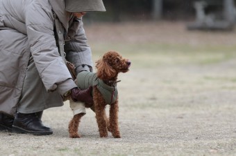 そんなに真面目に。。。 そんなに真面目に。。。