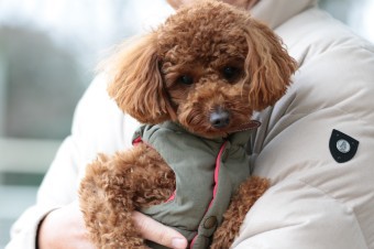 そんなに真面目に。。。 そんなに真面目に。。。