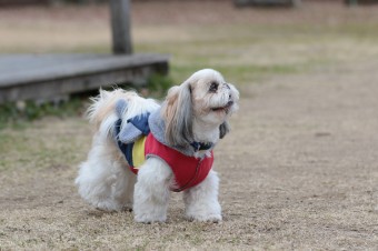そんなに真面目に。。。 そんなに真面目に。。。
