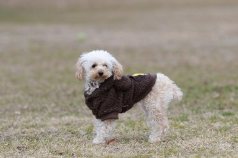 そんなに真面目に。。。 そんなに真面目に。。。