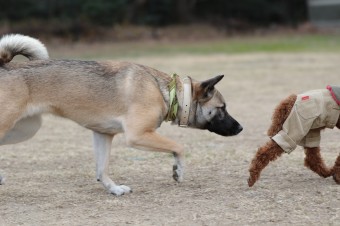 そんなに真面目に。。。 そんなに真面目に。。。