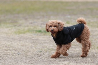そんなに真面目に。。。 そんなに真面目に。。。