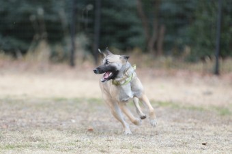 そんなに真面目に。。。 そんなに真面目に。。。