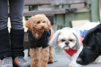 そんなに真面目に。。。 そんなに真面目に。。。