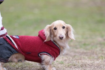そんなに真面目に。。。 そんなに真面目に。。。