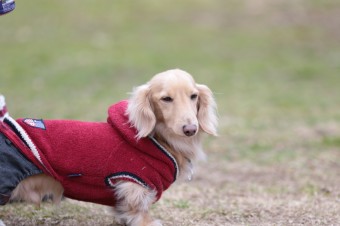 そんなに真面目に。。。 そんなに真面目に。。。
