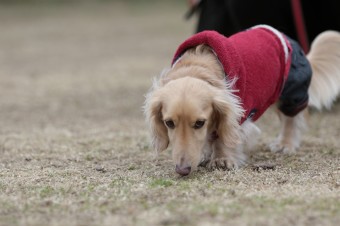 そんなに真面目に。。。 そんなに真面目に。。。