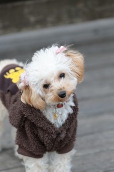 そんなに真面目に。。。 そんなに真面目に。。。