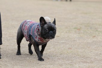 そんなに真面目に。。。 そんなに真面目に。。。