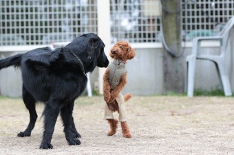 そんなに真面目に。。。 そんなに真面目に。。。