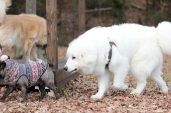 そんなに真面目に。。。 そんなに真面目に。。。