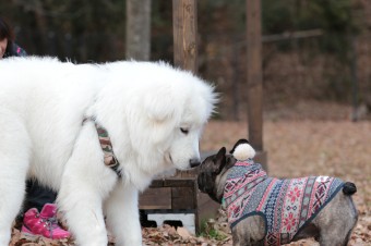 そんなに真面目に。。。 そんなに真面目に。。。