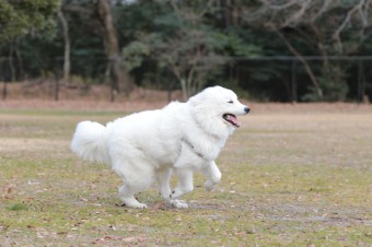 そんなに真面目に。。。 そんなに真面目に。。。