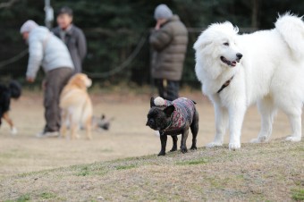 そんなに真面目に。。。 そんなに真面目に。。。