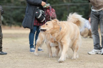 そんなに真面目に。。。 そんなに真面目に。。。