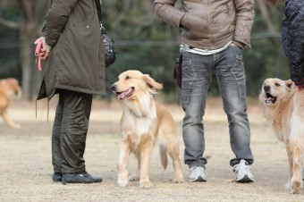そんなに真面目に。。。 そんなに真面目に。。。