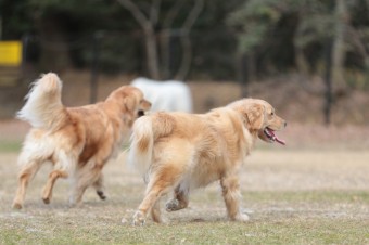 そんなに真面目に。。。 そんなに真面目に。。。